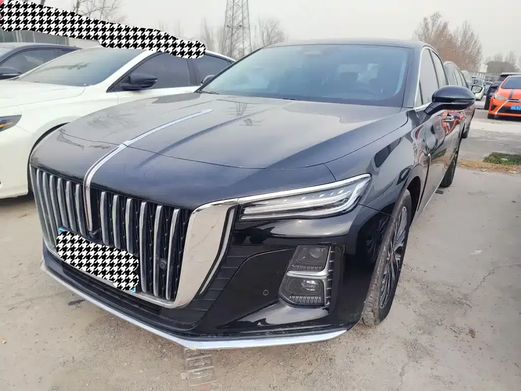 Hongqi H5 2024 из CN, фото 1