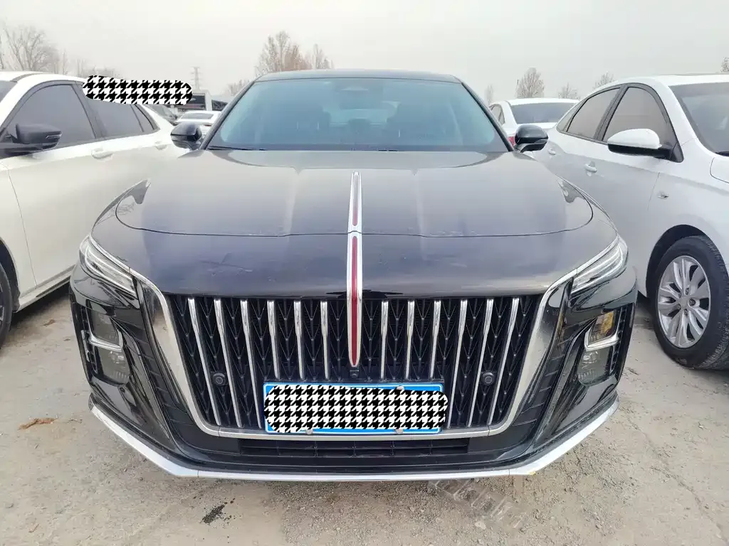Hongqi H5 2024 из CN, фото 6