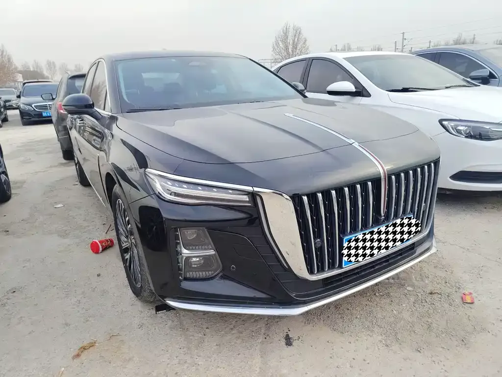 Hongqi H5 2024 из CN, фото 10