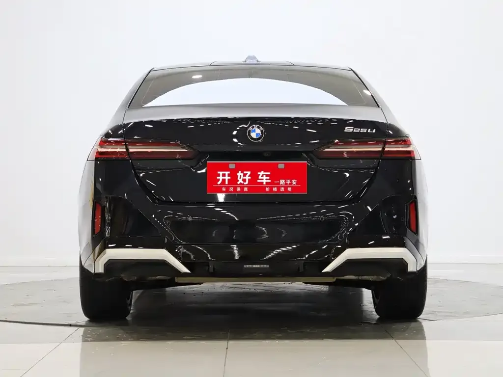 BMW 5 Series 2025 из CN, фото 5