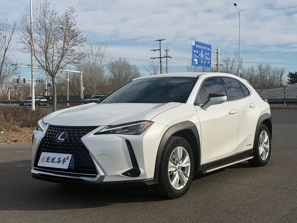 Lexus UX 2021 из CN, фото 1