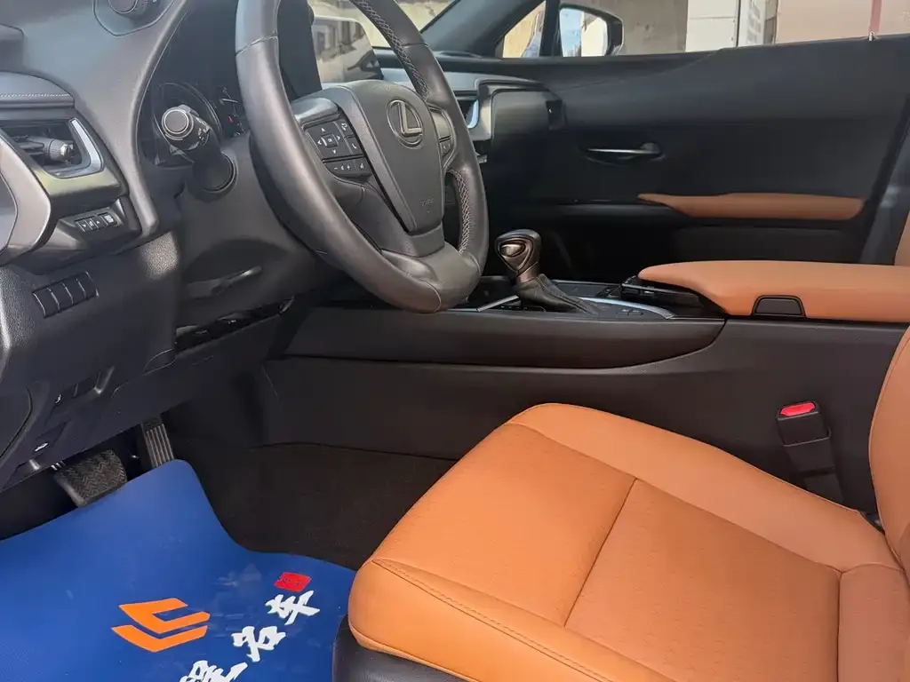 Lexus UX 2021 из CN, фото 3