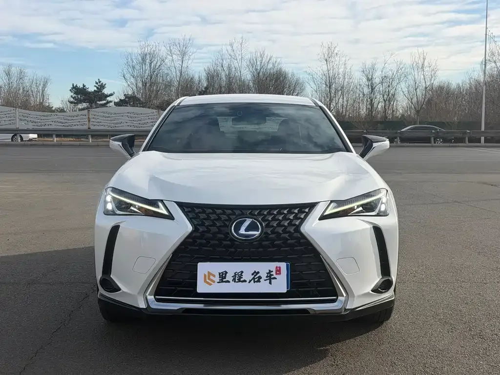 Lexus UX 2021 из CN, фото 4