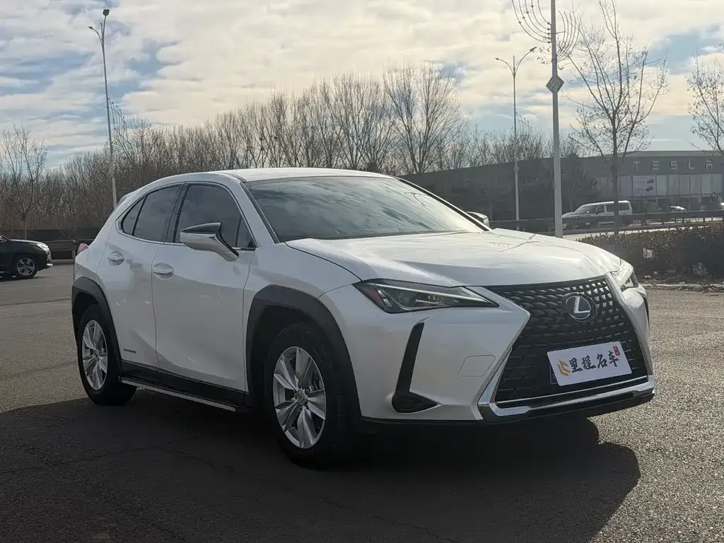 Lexus UX 2021 из CN, фото 6