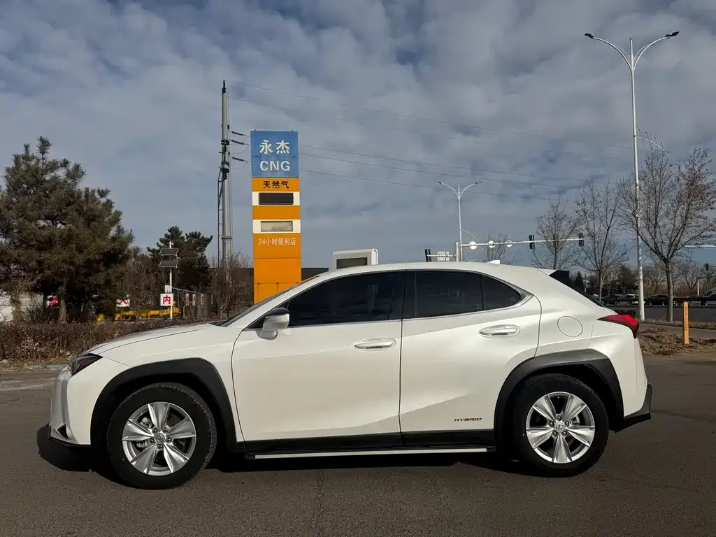 Lexus UX 2021 из CN, фото 8