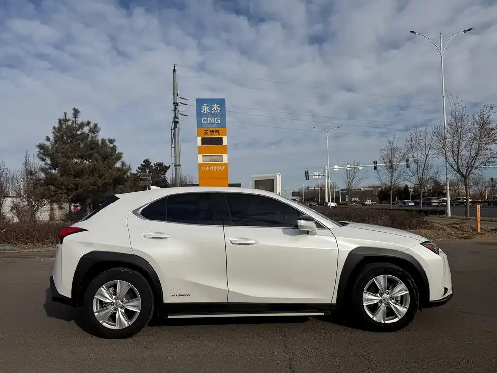 Lexus UX 2021 из CN, фото 5