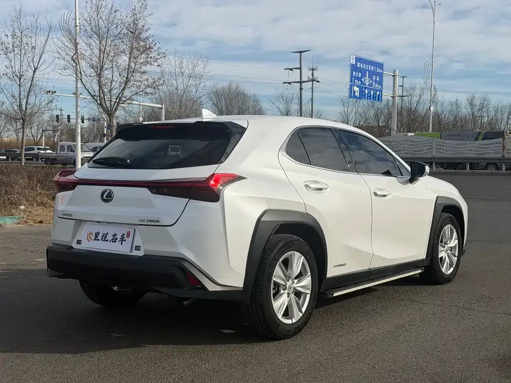 Lexus UX 2021 из CN, фото 9