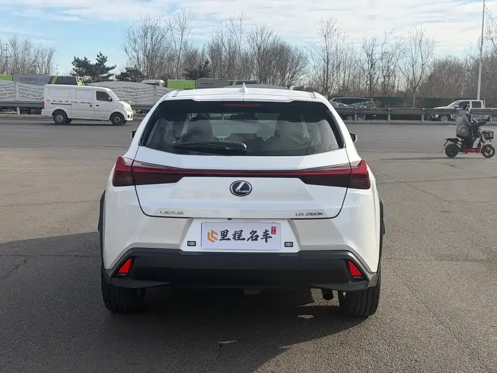 Lexus UX 2021 из CN, фото 10