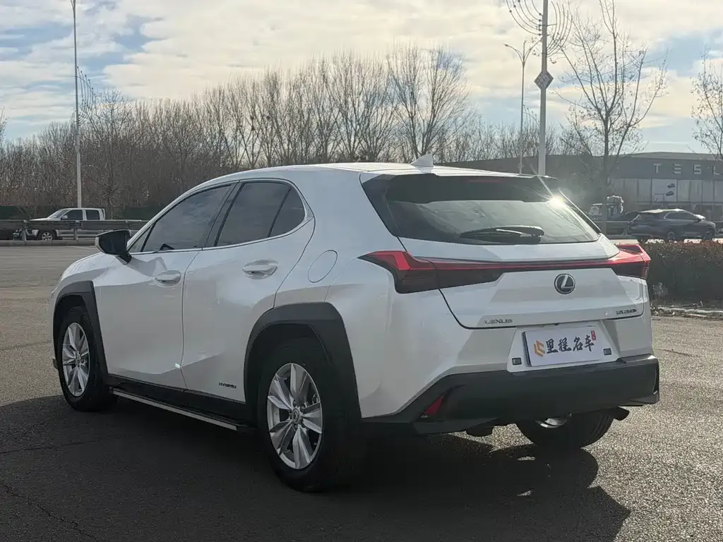 Lexus UX 2021 из CN, фото 7