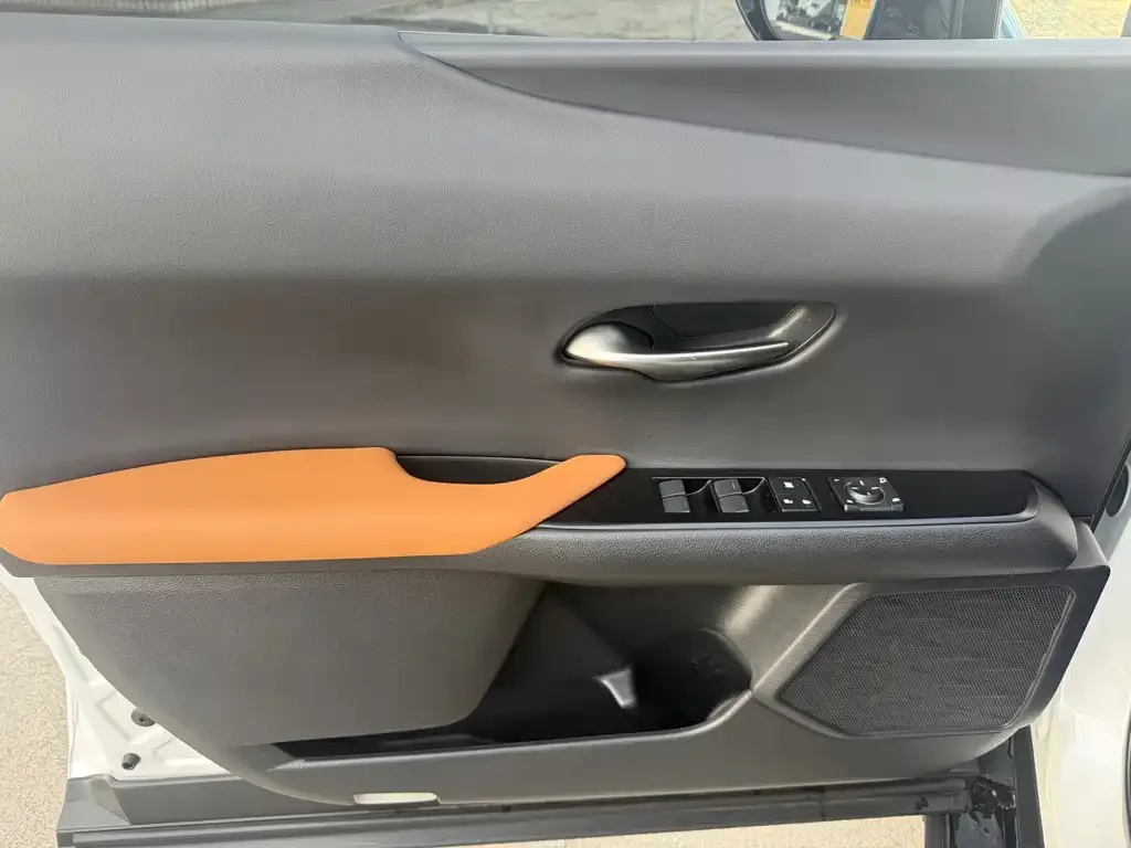 Lexus UX 2021 из CN, фото 2