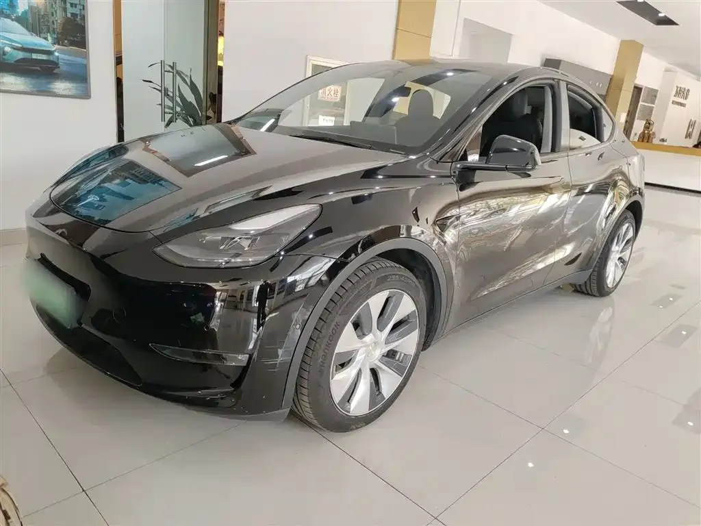 Tesla Model Y 2021 из CN, фото 2