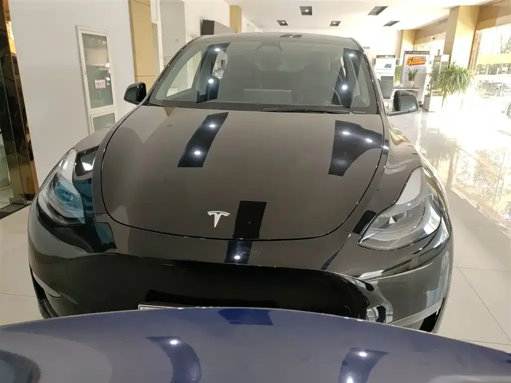 Tesla Model Y 2021 из CN, фото 3