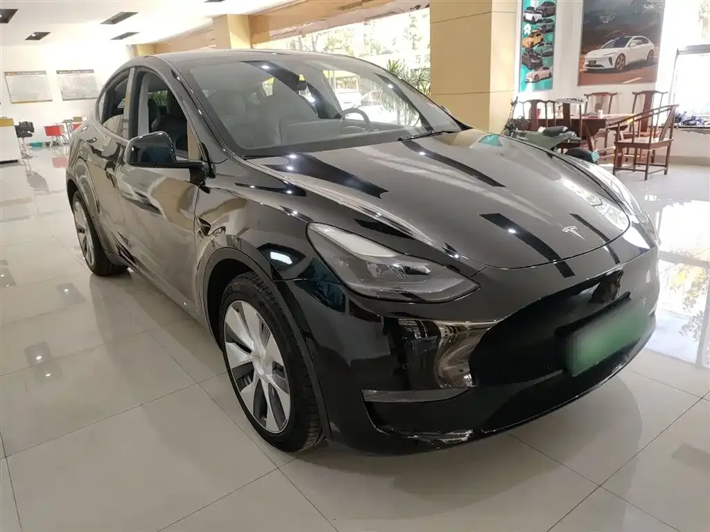Tesla Model Y 2021 из CN, фото 4
