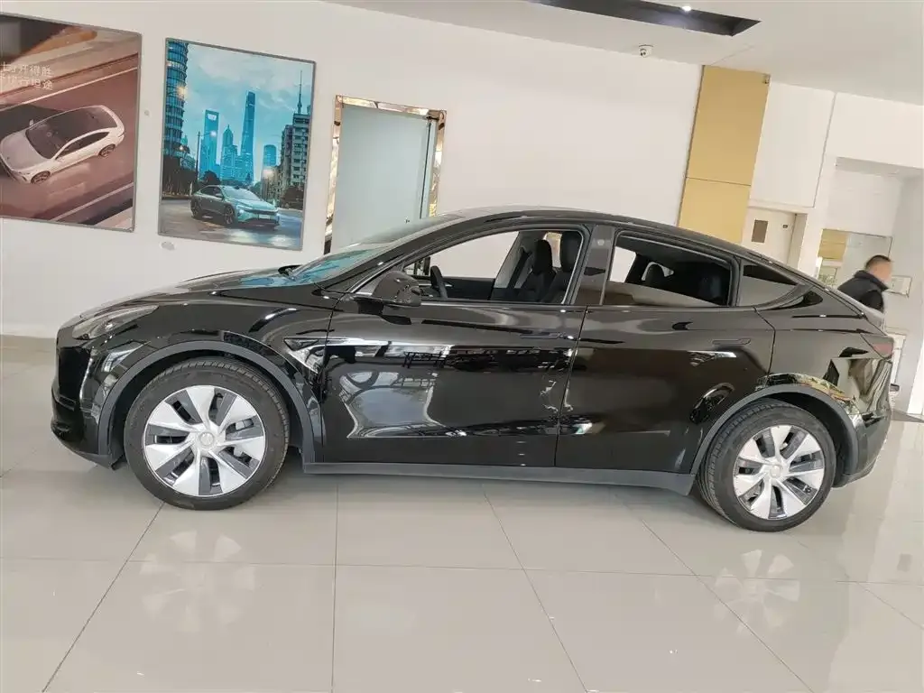 Tesla Model Y 2021 из CN, фото 5