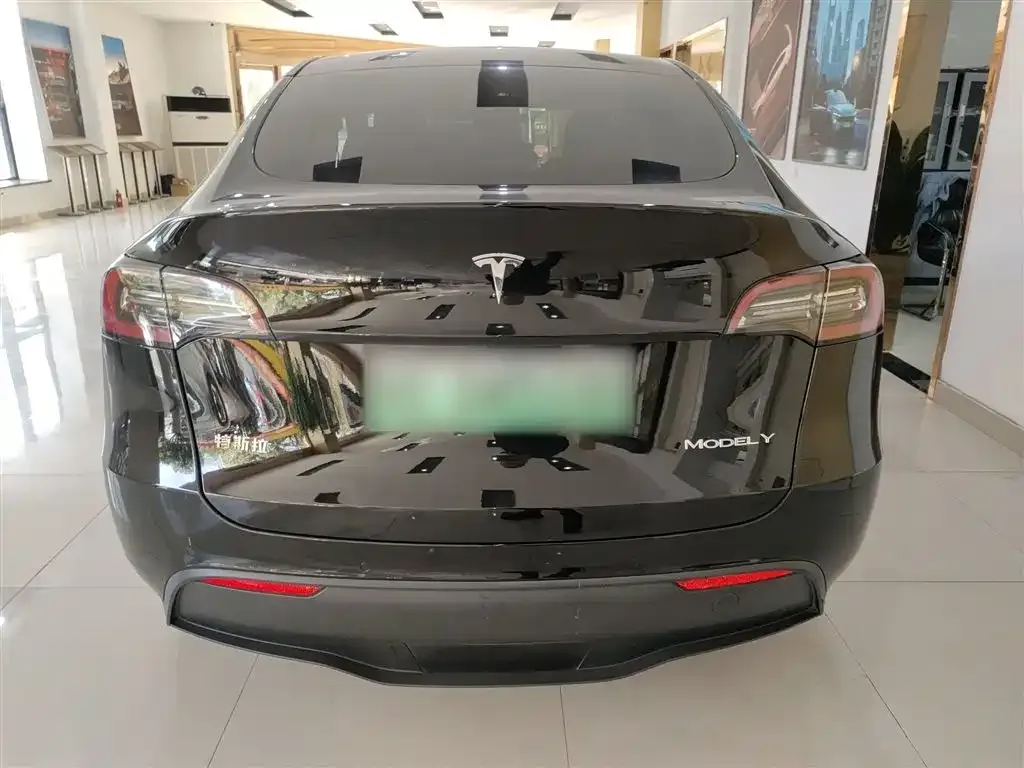 Tesla Model Y 2021 из CN, фото 6