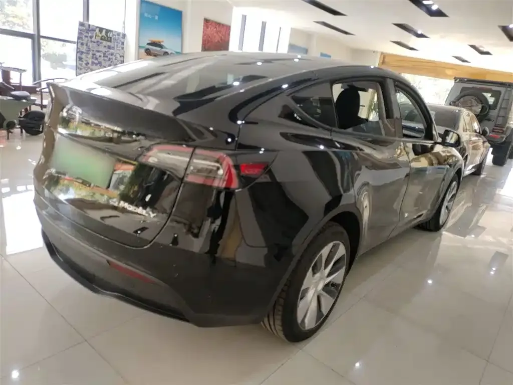 Tesla Model Y 2021 из CN, фото 7