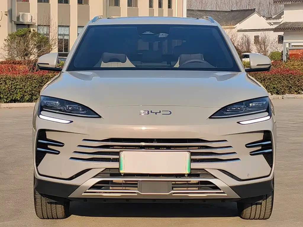 BYD PLUS New Energy 2025 из CN, фото 2