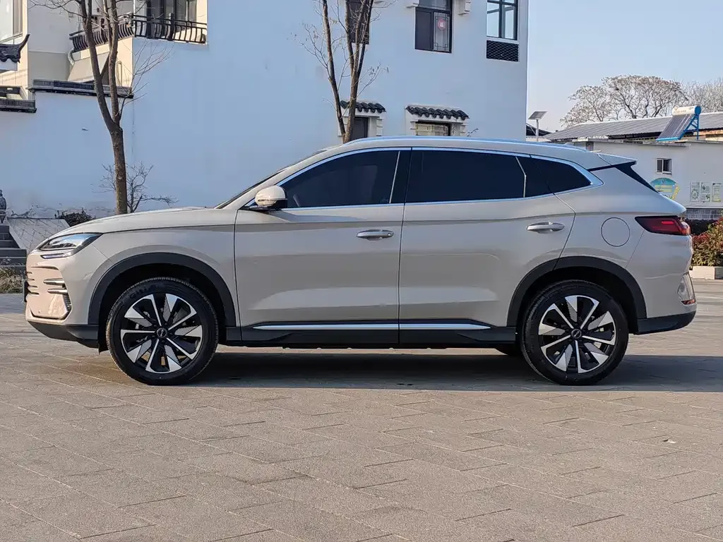 BYD PLUS New Energy 2025 из CN, фото 3