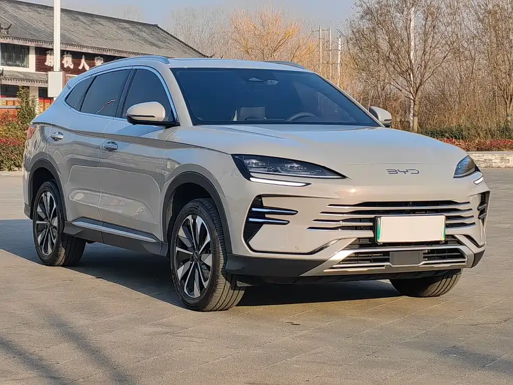 BYD PLUS New Energy 2025 из CN, фото 4