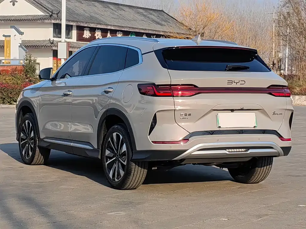 BYD PLUS New Energy 2025 из CN, фото 5