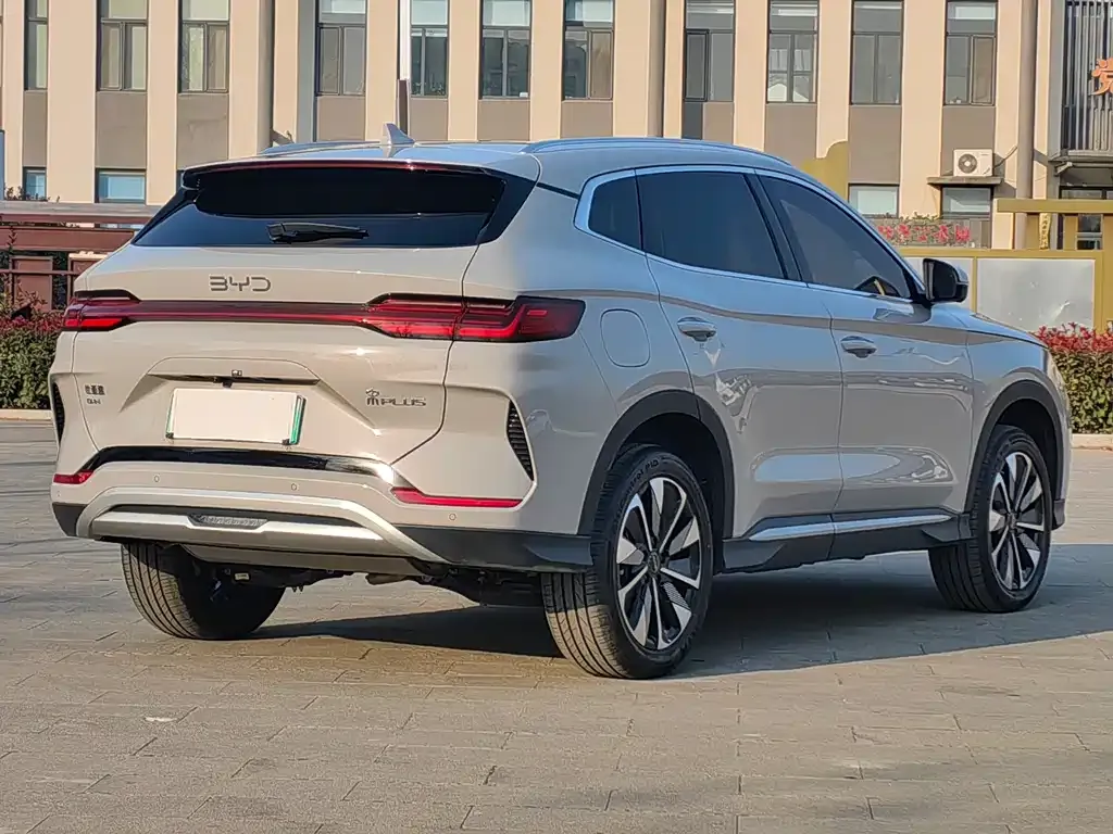 BYD PLUS New Energy 2025 из CN, фото 6