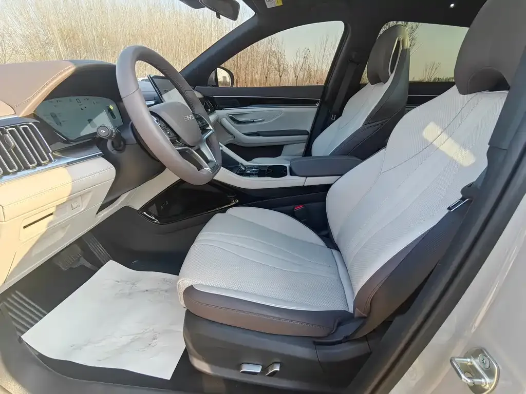 BYD PLUS New Energy 2025 из CN, фото 9