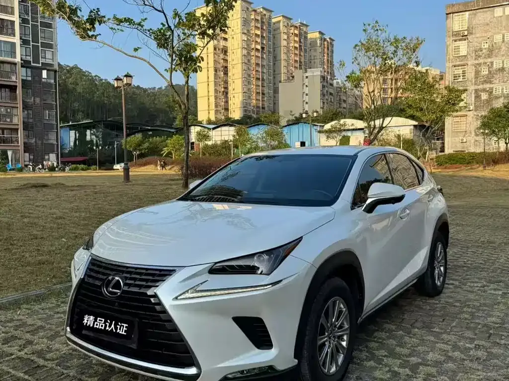 Lexus NX 2021 из CN, фото 1