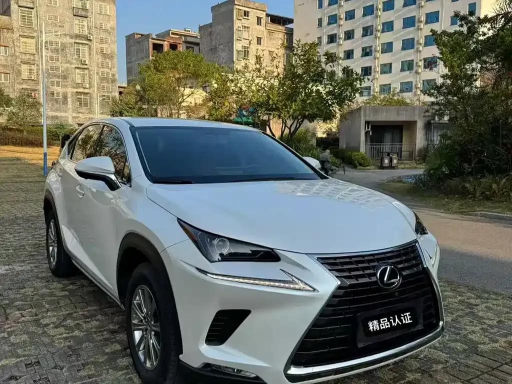 Lexus NX 2021 из CN, фото 5