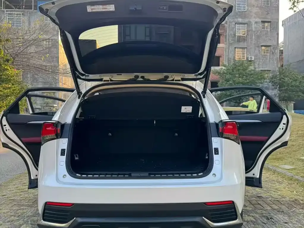 Lexus NX 2021 из CN, фото 6