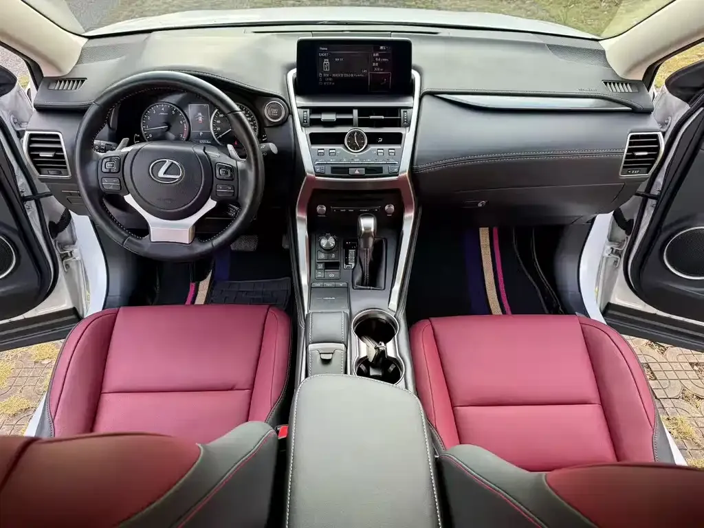 Lexus NX 2021 из CN, фото 9