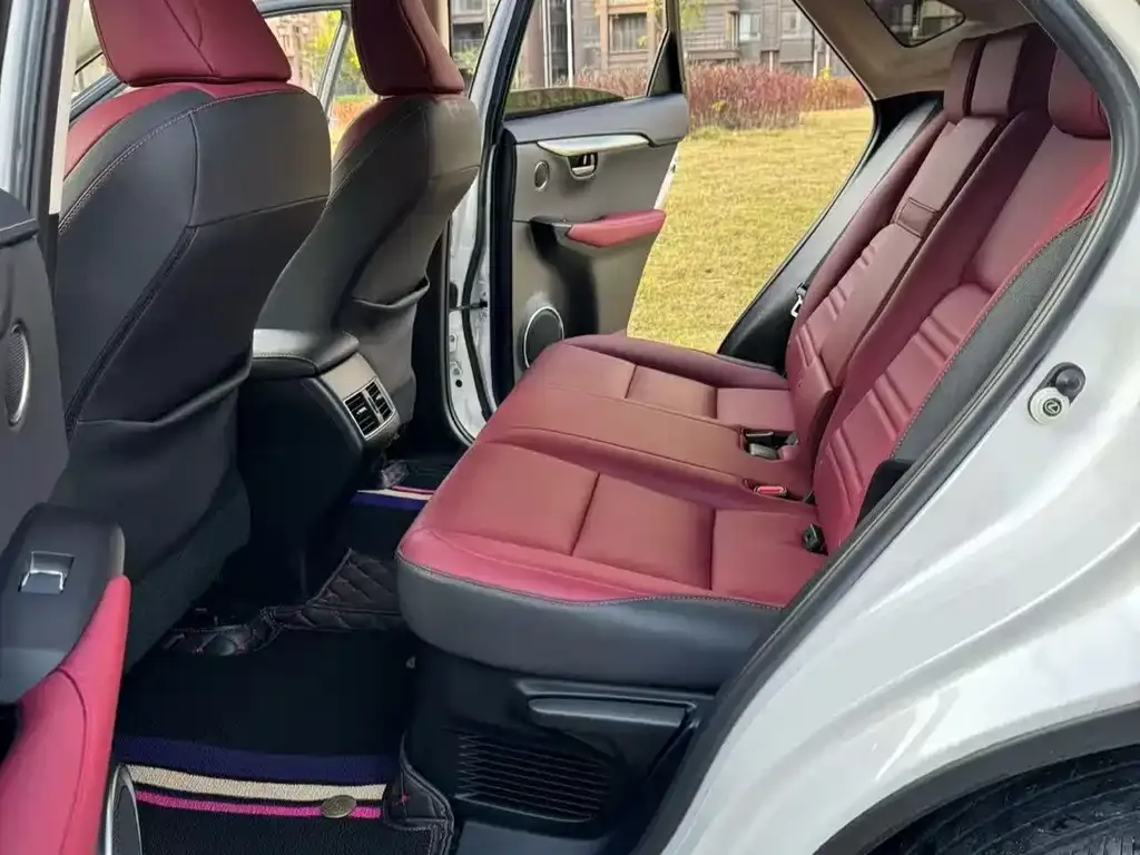 Lexus NX 2021 из CN, фото 8