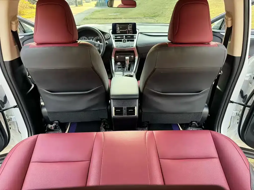Lexus NX 2021 из CN, фото 3