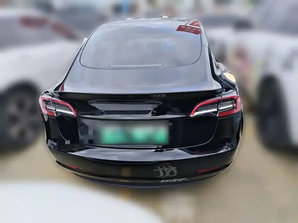 Tesla Model 3 2021 из CN, фото 5