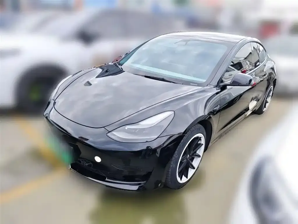 Tesla Model 3 2021 из CN, фото 4