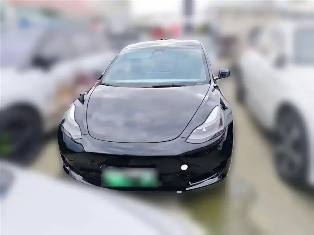 Tesla Model 3 2021 из CN, фото 8