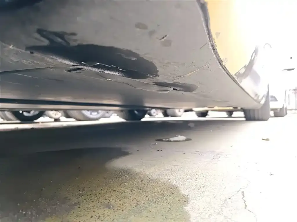 Tesla Model 3 2021 из CN, фото 6