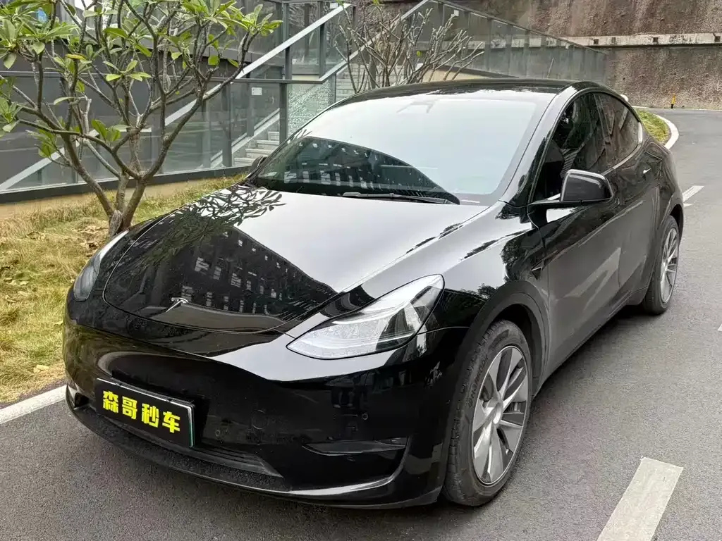 Tesla Model Y 2021 из CN, фото 1