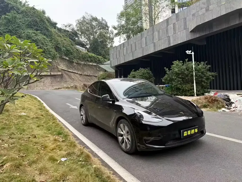 Tesla Model Y 2021 из CN, фото 6