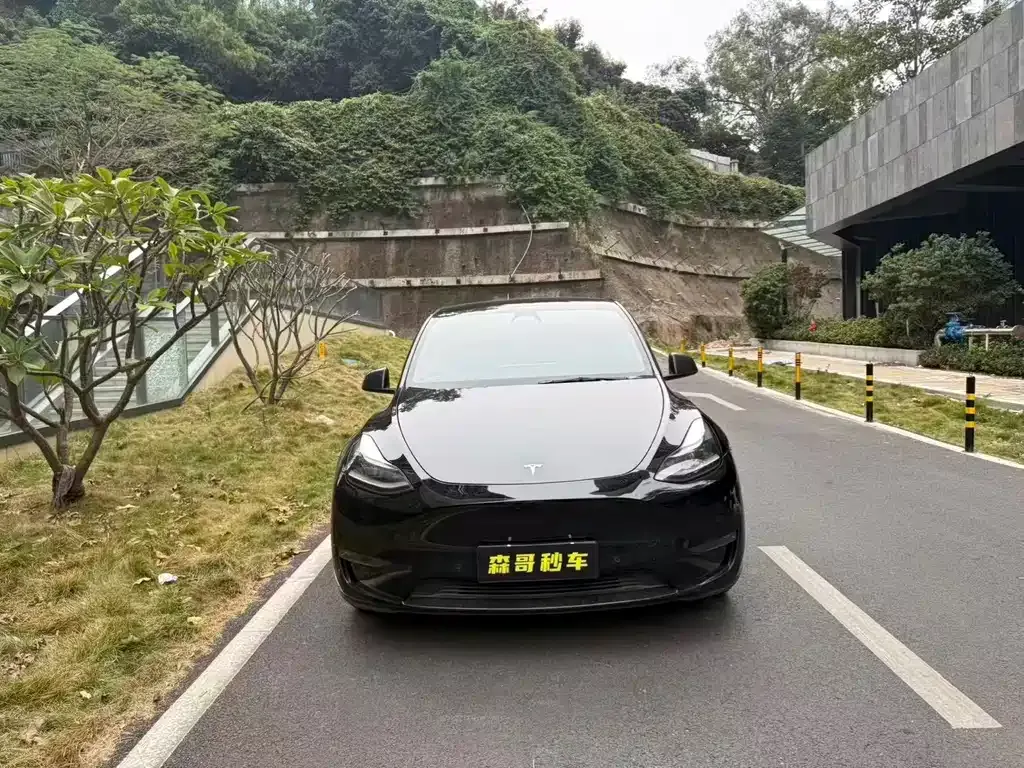 Tesla Model Y 2021 из CN, фото 4