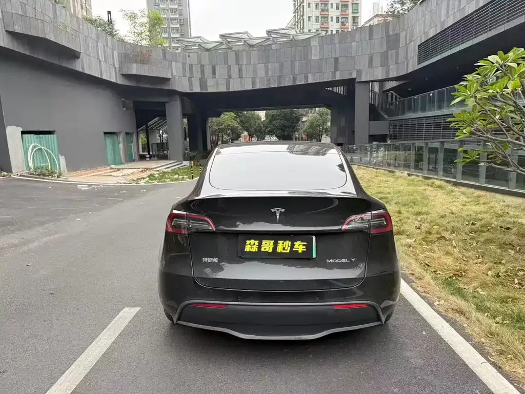 Tesla Model Y 2021 из CN, фото 8