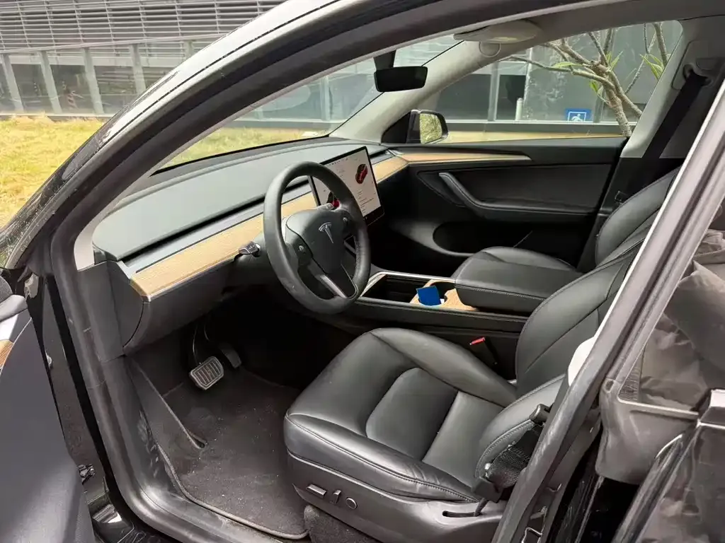 Tesla Model Y 2021 из CN, фото 7