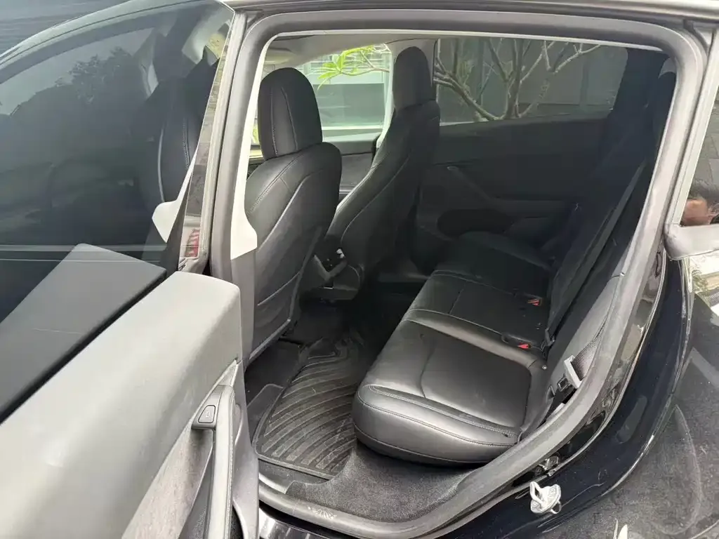 Tesla Model Y 2021 из CN, фото 5