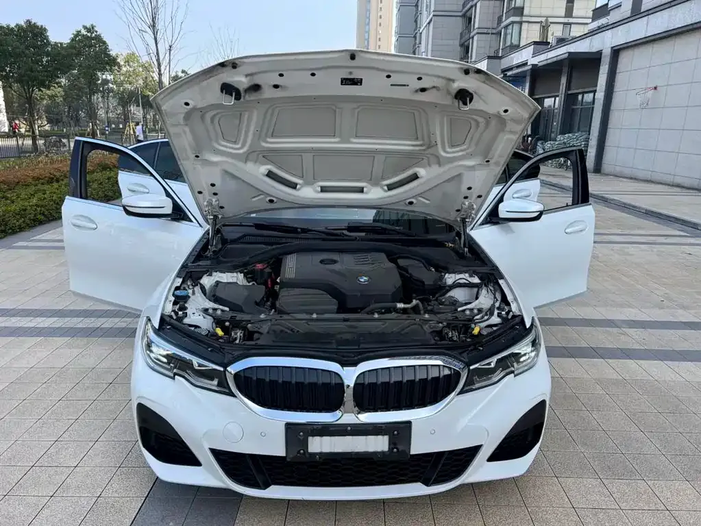 BMW 3 Series 2022 из CN, фото 7