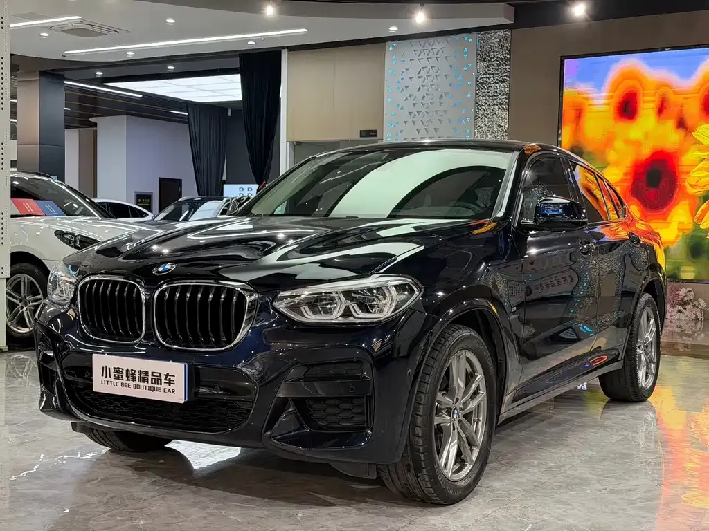 BMW X4 2021 из CN, фото 1