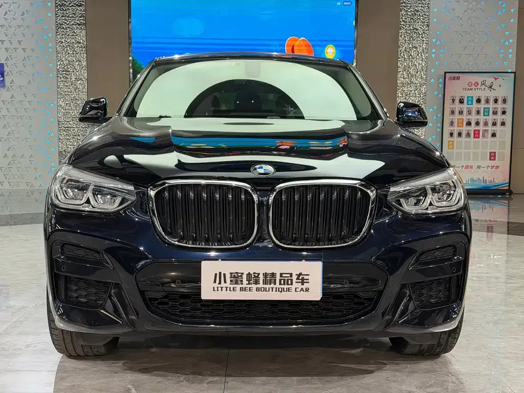 BMW X4 2021 из CN, фото 10