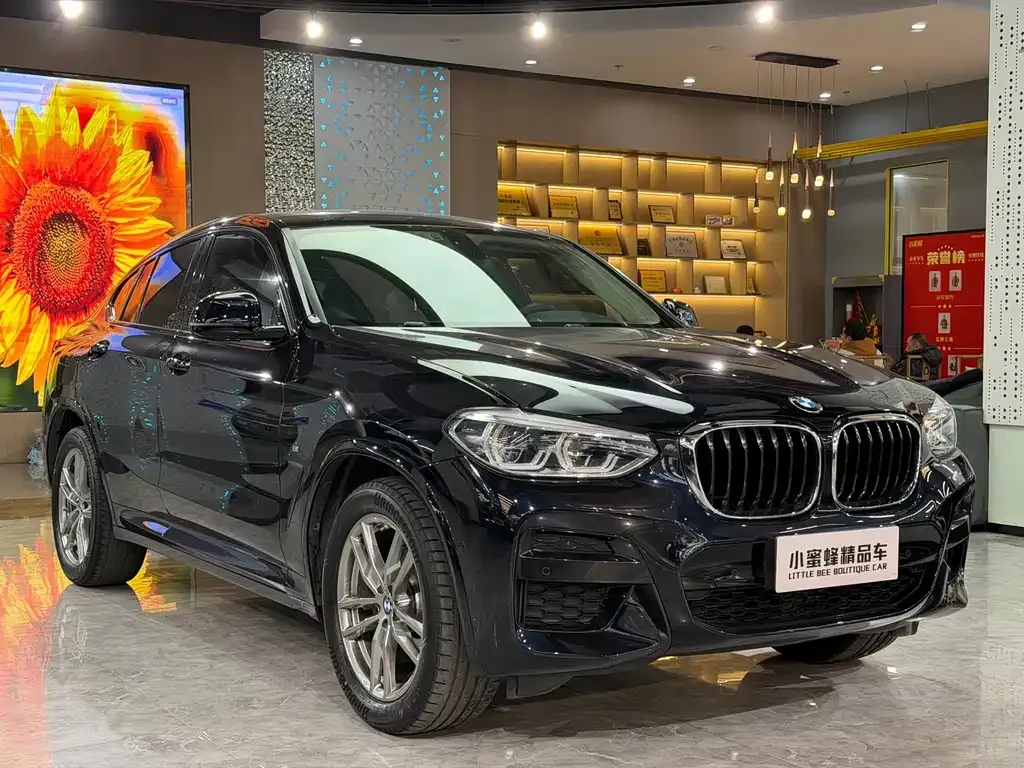 BMW X4 2021 из CN, фото 6