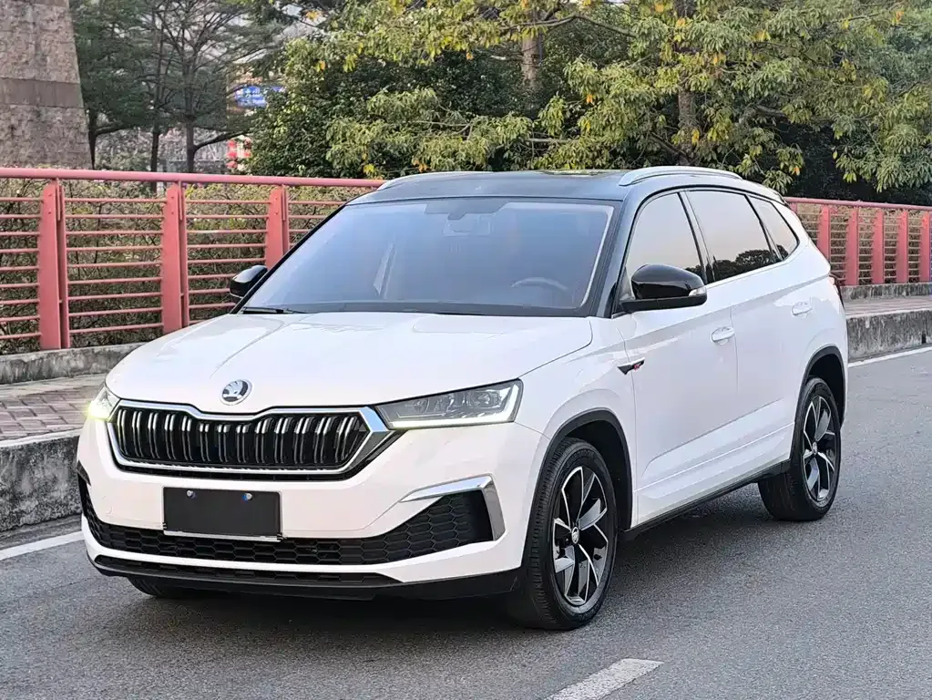 Skoda Kamiq 2022 из CN, фото 1