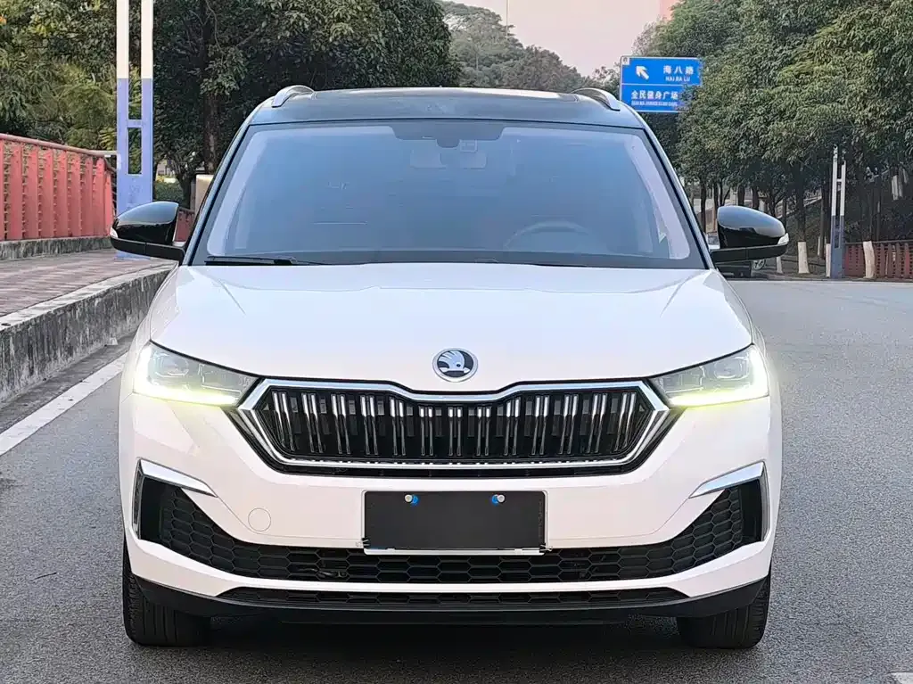Skoda Kamiq 2022 из CN, фото 10