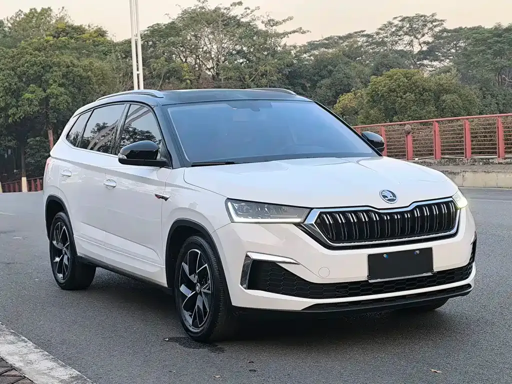 Skoda Kamiq 2022 из CN, фото 6