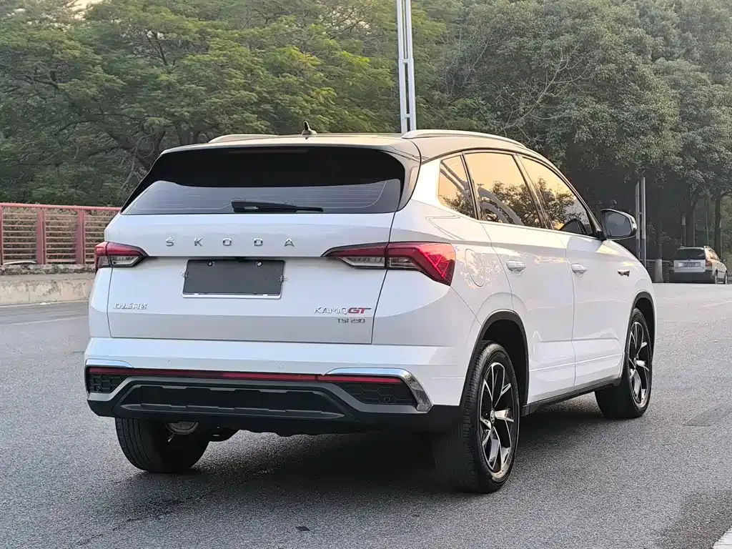 Skoda Kamiq 2022 из CN, фото 9